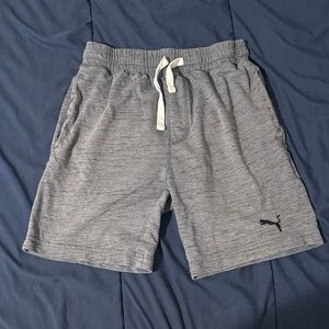 Puma Men's Athletic Shorts in Heather Gray